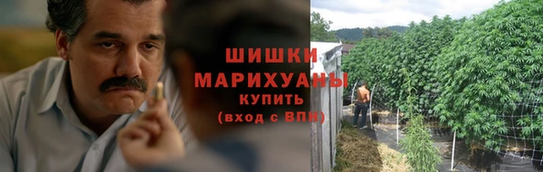 прущие крисы Бородино