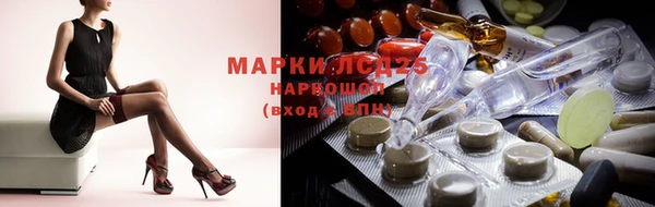 прущие крисы Бородино
