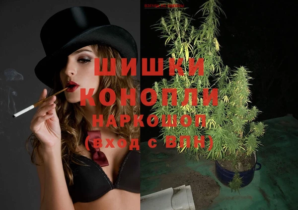 прущие крисы Бородино