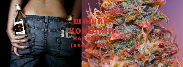 прущие крисы Бородино