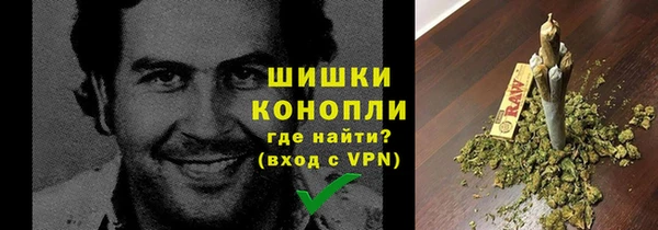 прущие крисы Бородино